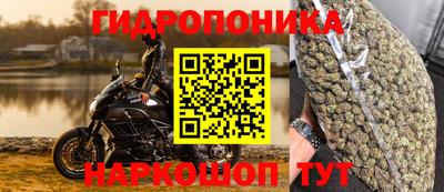 СК Пенза