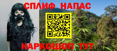 СК Пенза