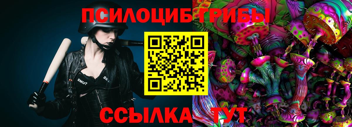Тавда  Псилоцибиновые грибы GOLDEN TEACHER  Галлюциногенные грибы MAGIC MUSHROOMS  Вход с VPN 